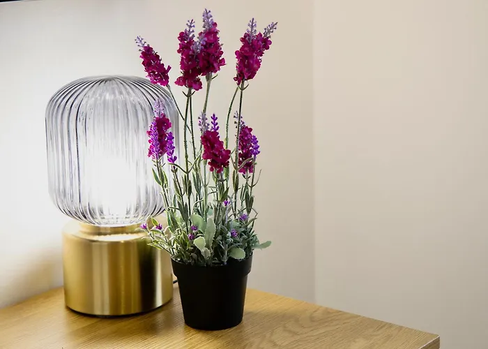 Lucus Skyline & Terrace By Collection Daire Lugo